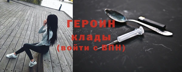 прущие грибы Коряжма