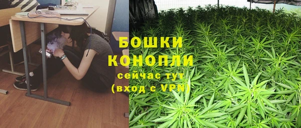 spice Костерёво