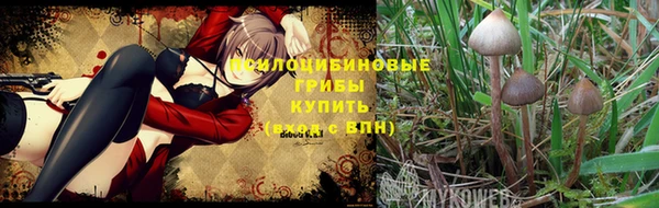 MDMA Premium VHQ Липки