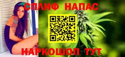СК Донецк