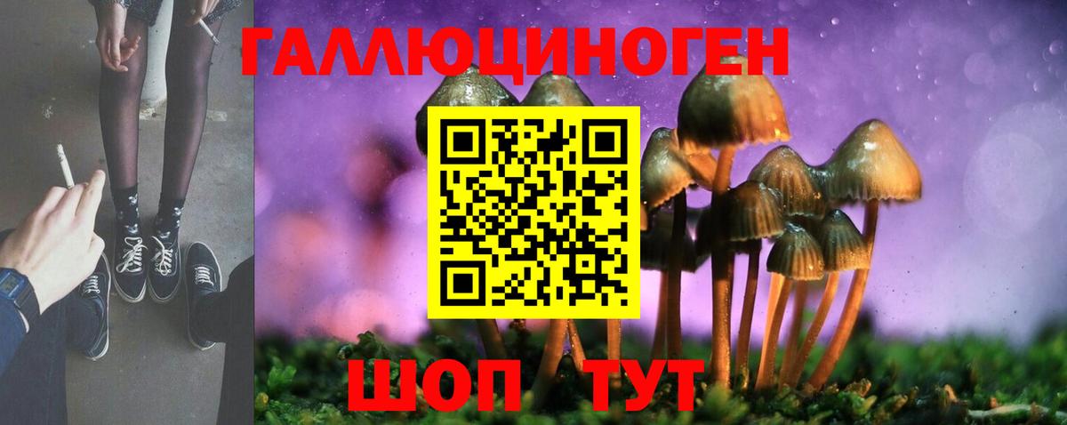 наркошоп  Вход с VPN  Новозыбков  Псилоцибиновые грибы прущие грибы 