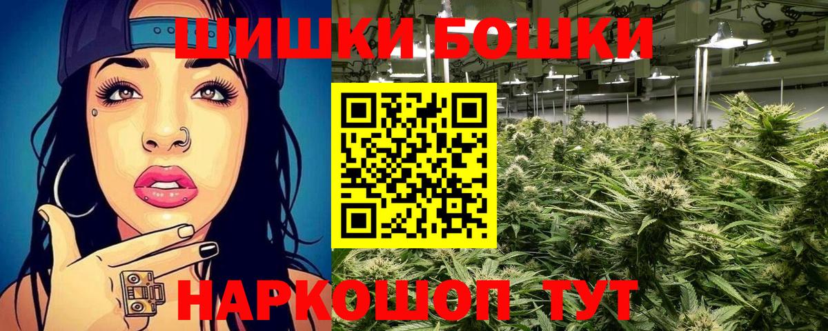 Конопля семена  Бошки марихуана Ganja  Бошки Шишки THC 21%  Новозыбков  МАРИХУАНА план  Вход с VPN 